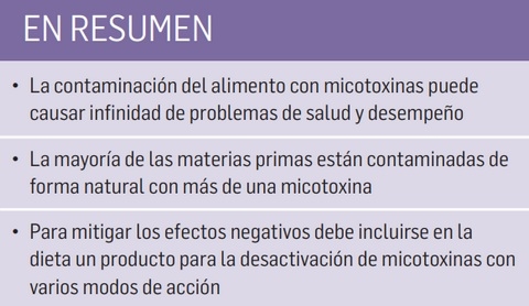Impacto de las micotoxinas en los pavos - Image 10