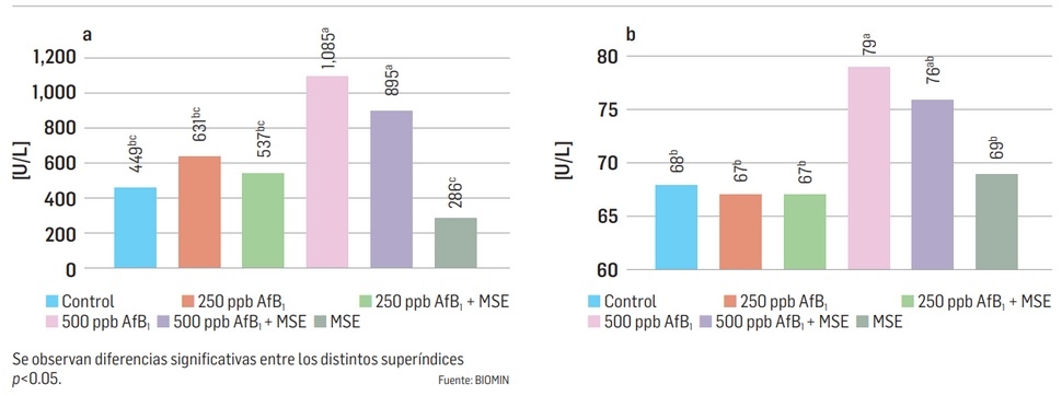 Impacto de las micotoxinas en los pavos - Image 4