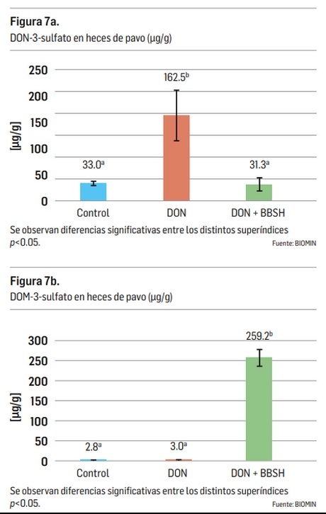 Impacto de las micotoxinas en los pavos - Image 9