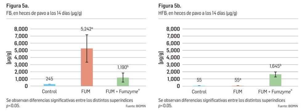Impacto de las micotoxinas en los pavos - Image 6