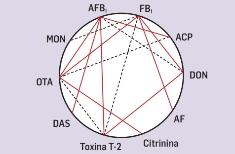 Impacto de las micotoxinas en los pavos - Image 1
