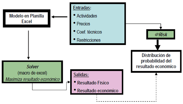 ¿Ganadería y forestación: competitividad o complementariedad? - Image 1