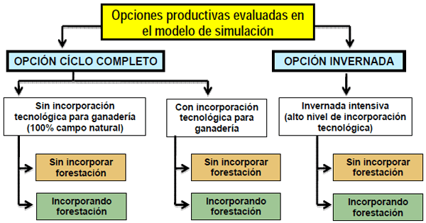 ¿Ganadería y forestación: competitividad o complementariedad? - Image 3