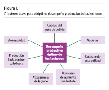 La vida después del óxido de zinc: 3 consejos para abordar la diarrea posdestete - Image 1