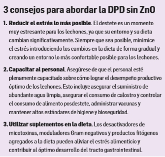 La vida después del óxido de zinc: 3 consejos para abordar la diarrea posdestete - Image 2