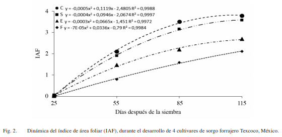 Fenología, biomasa y análisis de crecimiento de cultivares de sorgo forrajero en valles altos - Image 4