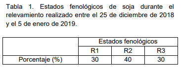 Panorama sanitario de cultivos estivales en el norte de la provincia de Buenos Aires. Soja - Informe enero 2019 - Image 1