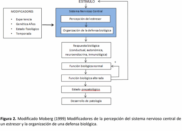 Estrés, conceptos básicos y su relación con el bienestar animal - Image 4