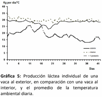 Aumento de la producción de leche mejorando el bienestar de la vaca y reduciendo el estrés calórico - Image 4