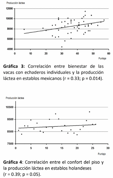 Aumento de la producción de leche mejorando el bienestar de la vaca y reduciendo el estrés calórico - Image 3