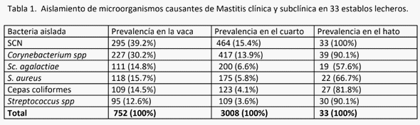 Avances en las investigaciones de Staphylococcus aureus como agente patógeno causante de Mastitis bovina, mediante biología molecular. - Image 4