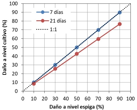 Modelo de daño causado por heladas sobre el número de granos de trigo - Image 4