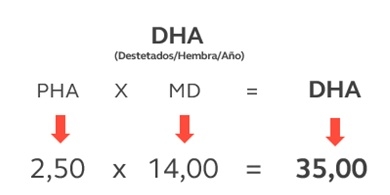 Los puntos claves para destetar 35 lechones por cerda año - Image 1