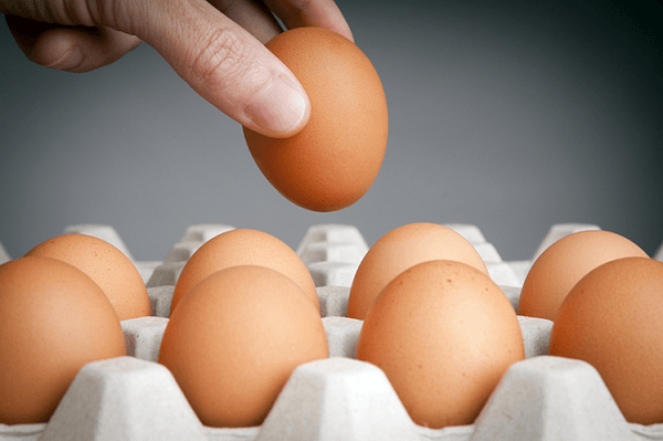 Caso de éxito en producción de huevos - Image 1