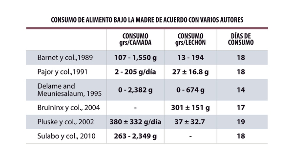 Importancia de la alimentación del lechón bajo la madre - Creep Feeding - Image 2