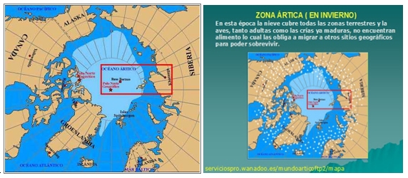 Gripe Aviar: ¿Por qué en el Asia, África y Europa y no en Sur América? - Image 6