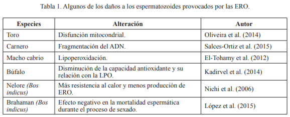 Efecto del estrés calórico y el estrés oxidativo en la función espermática de los mamíferos - Image 1