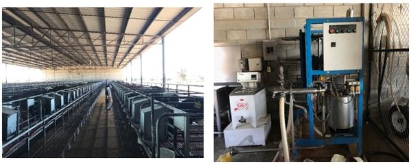 El rendimiento de leche no disminuye en hatos de alta producción en clima semi-arido de Mexico. - Image 3
