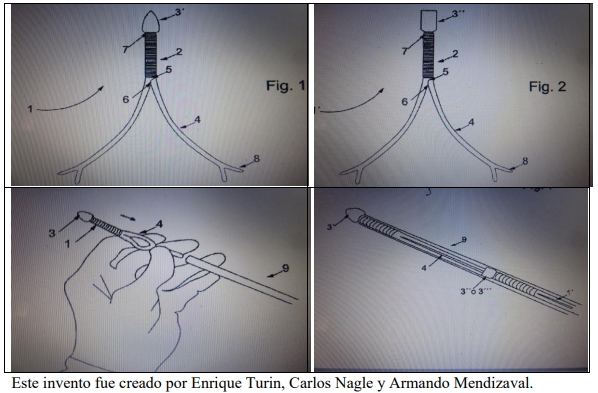 Castración de vaquillas para exportación y engorda: Una propuesta de cambio para el protocolo. - Image 29