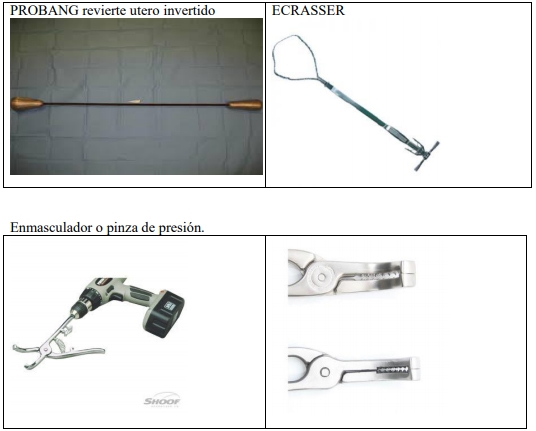 Castración de vaquillas para exportación y engorda: Una propuesta de cambio para el protocolo. - Image 53