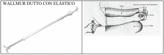 Castración de vaquillas para exportación y engorda: Una propuesta de cambio para el protocolo. - Image 47