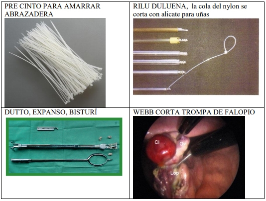 Castración de vaquillas para exportación y engorda: Una propuesta de cambio para el protocolo. - Image 51
