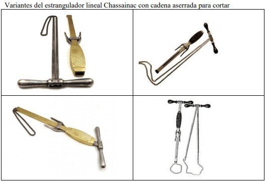 Castración de vaquillas para exportación y engorda: Una propuesta de cambio para el protocolo. - Image 48