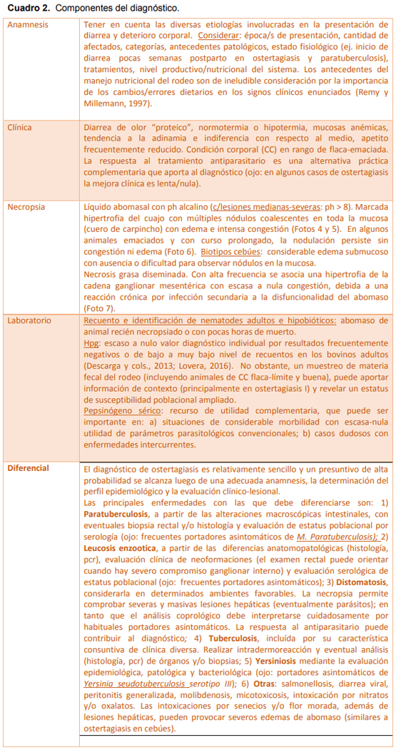 Ostertagiasis en vacas de rodeos de cría y tambo del sur de Córdoba - Image 3