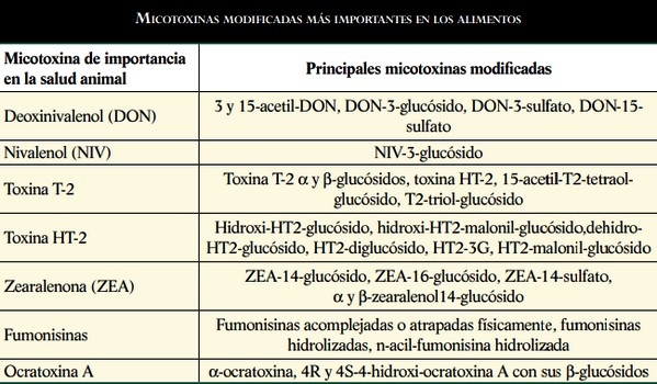 Las micotoxinas ocultas o modificadas - Image 2