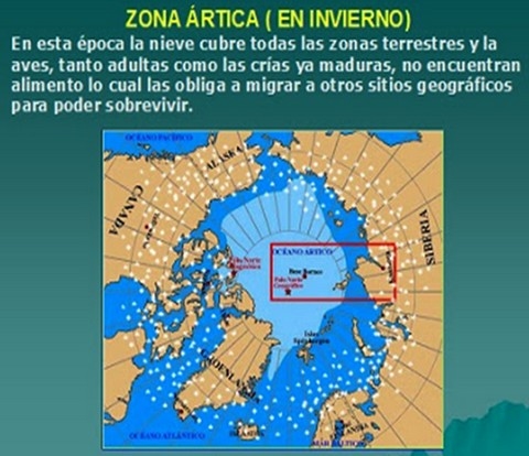 Influenza aviar: oportuna prohibición de la caza deportiva en Colombia - Image 1