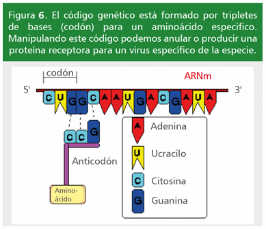 Terapia genética: una buena alternativa para la lucha contra las enfermedades infecciosas - Image 7