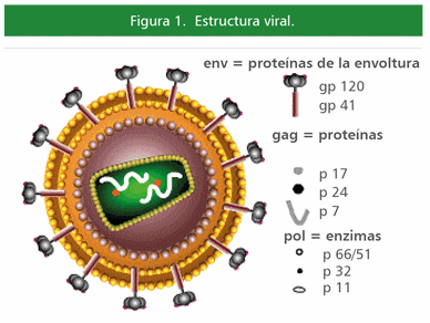 Terapia genética: una buena alternativa para la lucha contra las enfermedades infecciosas - Image 2