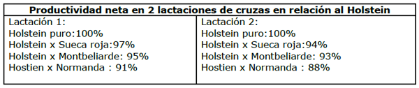 Los cruzamientos ente razas lecheras - Image 1
