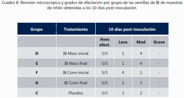 Estudio de reversión a la virulencia para la evaluación de una vacuna comercial contra la enfermedad de newcastle y bronquitis infecciosa en aves libres de patógenos específicos. - Image 6