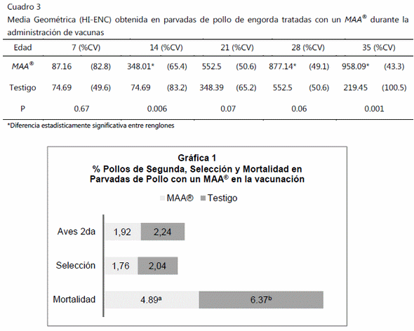 Bienestar y productividad en parvadas de pollo de engorda tratadas con un modulador alostático (maa®) durante la administración de vacunas. - Image 3