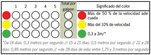 Check list de Bienestar Animal en la avicultura comercial de pollos parrilleros: Semáforo del Galpón - Image 10