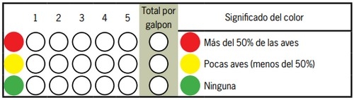 Check list de Bienestar Animal en la avicultura comercial de pollos parrilleros: Semáforo del Galpón - Image 12