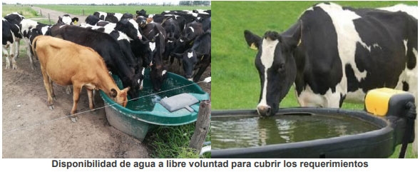 Algunas recomendaciones para minimizar los efectos negativos del cambio climático sobre el ganado lechero - Image 3
