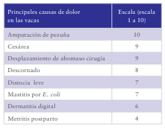 Dolor animal - Image 4