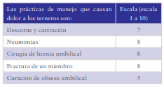 Dolor animal - Image 2