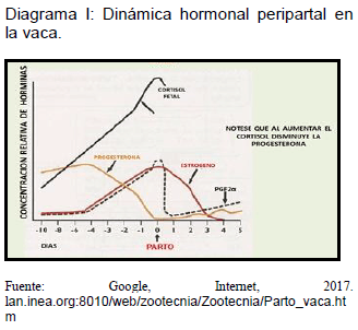 Sectores críticos en el ciclo de vida de la hembra bovina tipo leche; cuidados biotécnicos y manejo para el buen desarrollo, salud, bienestar y productividad - Image 6
