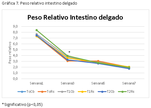 Evaluacion de la restriccion alimenticia y su efecto en la ascitis aviar en dos lineas geneticas de pollos en la sabana de Bogotá - Image 13