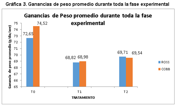 Evaluacion de la restriccion alimenticia y su efecto en la ascitis aviar en dos lineas geneticas de pollos en la sabana de Bogotá - Image 5