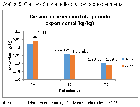 Evaluacion de la restriccion alimenticia y su efecto en la ascitis aviar en dos lineas geneticas de pollos en la sabana de Bogotá - Image 8