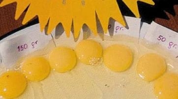 Evaluación de Oleorresina de Achiote como pigmentante natural para la yema de huevo en gallinas de postura - Image 4
