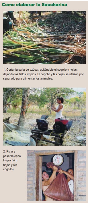 Guía de suplementación alimenticia estratégica para bovinos en época seca - Image 65