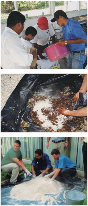 Guía de suplementación alimenticia estratégica para bovinos en época seca - Image 80