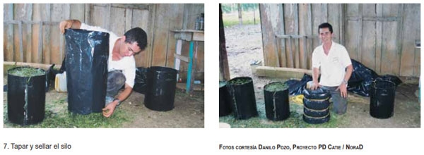 Guía de suplementación alimenticia estratégica para bovinos en época seca - Image 42