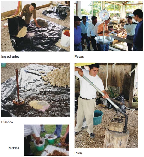 Guía de suplementación alimenticia estratégica para bovinos en época seca - Image 77