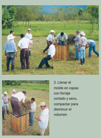 Guía de suplementación alimenticia estratégica para bovinos en época seca - Image 51